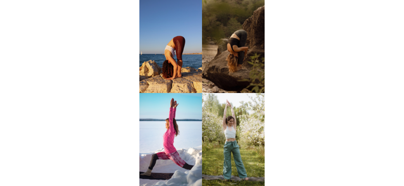 Formation Yoga ayurveda : "L'Ayurveda appliqué au yoga"